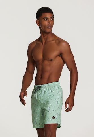 Shiwi Плавательные шорты в Зеленый