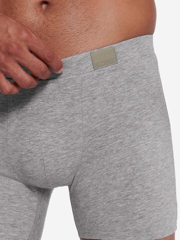 SLOGGI Boxershorts 'men GO Natural'‌‌ in Mischfarben