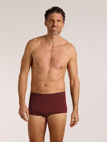 Pantaloncini da bagno di wavebreaker in rosso: frontale