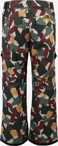 Regular Pantaloni outdoor 'BANSHEE' de la DC Shoes pe verde