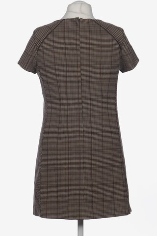 NEXT Dress in XL in Brown