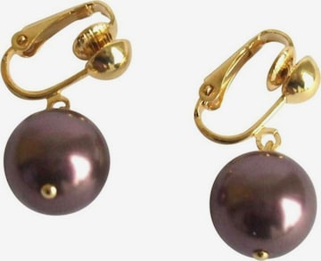 Gemshine Earrings in Gold