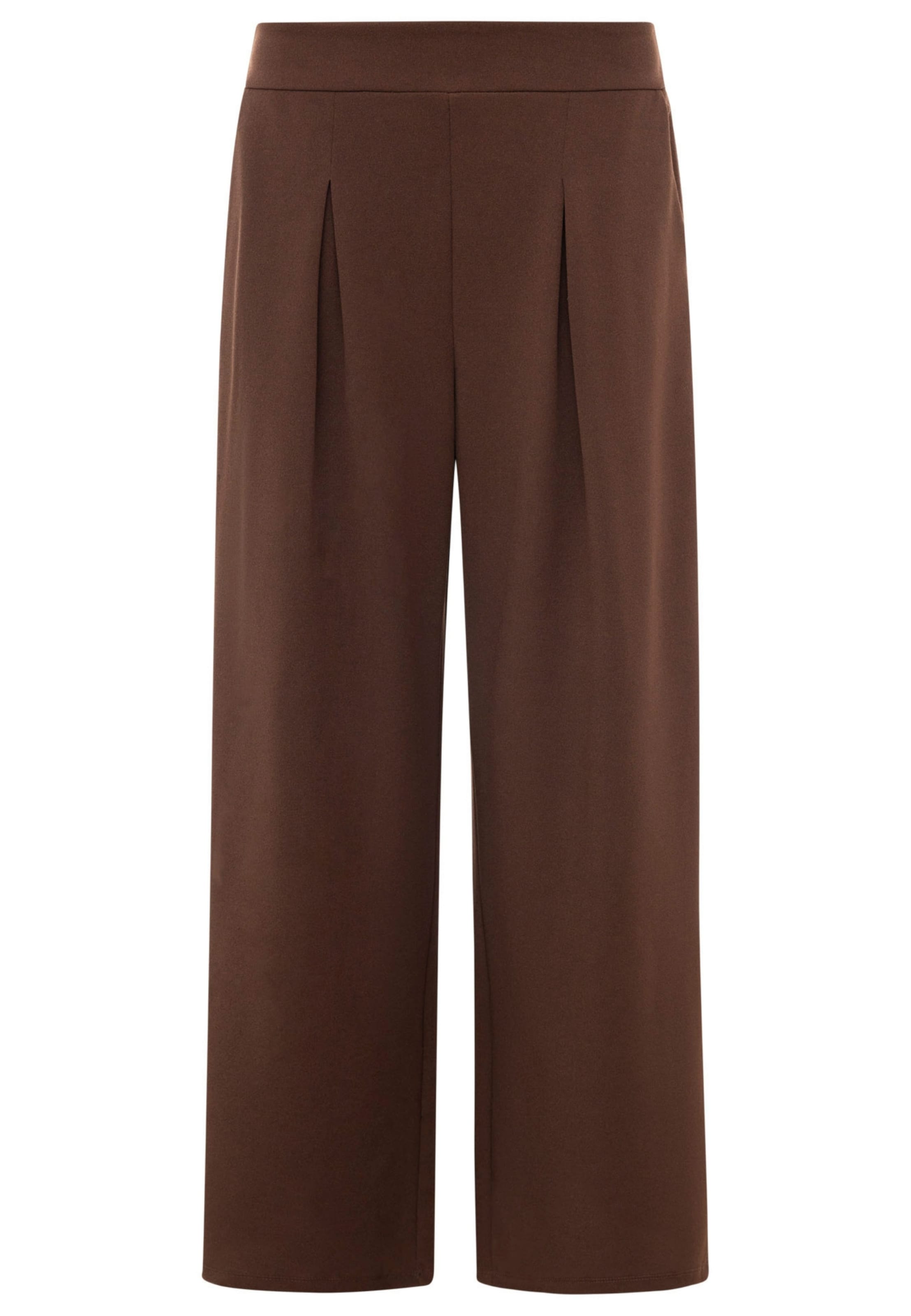 Zwillingsherz Pleat-Front Pants in Brown: front