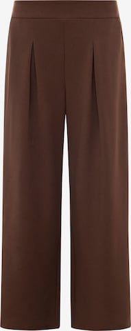 Zwillingsherz Pleat-Front Pants in Brown: front