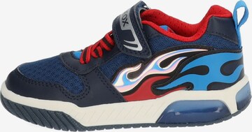 GEOX Sneakers in Blauw