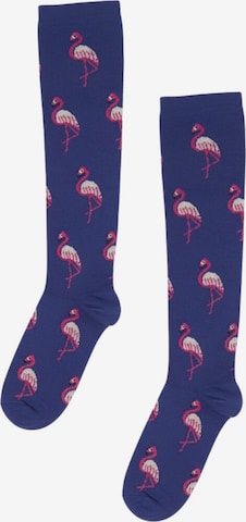 Sokisahtel Knee socks in Blue: front