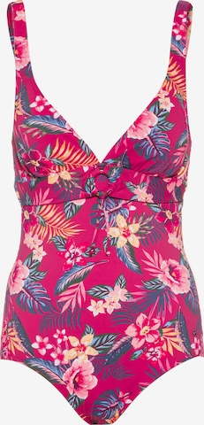 Bustier Maillot de bain s.Oliver en rose : devant