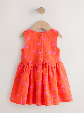 Next Kleid in Orange