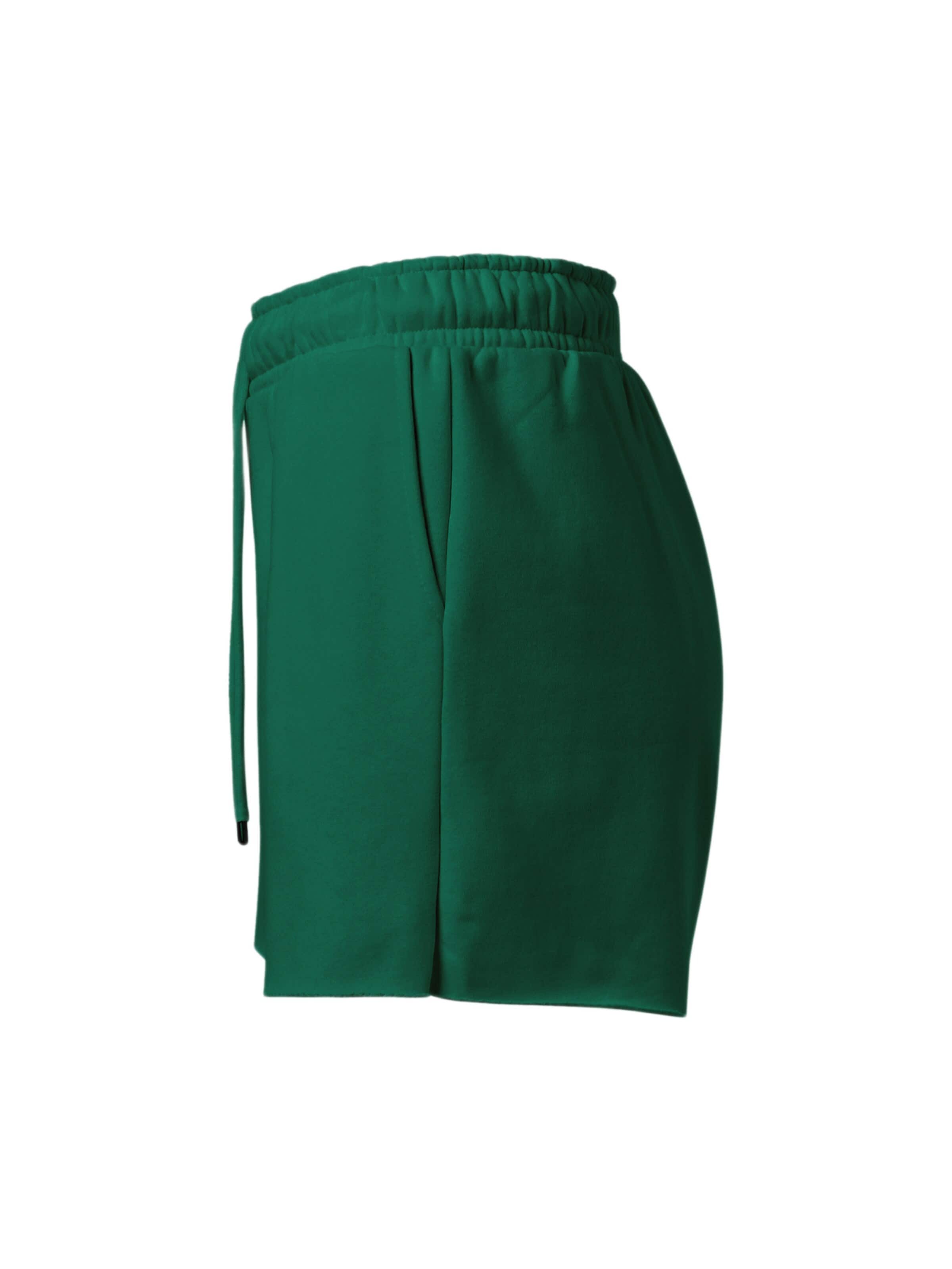 regular Pantaloni 'Los Angeles' di Denim Factory in verde: frontale