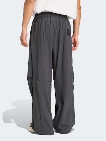 ADIDAS TERREX - Loosefit Pantalón de montaña 'National Geographic' en gris