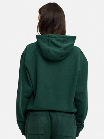 Daily Cotton Sweatshirt 'DCAVILA' in Green