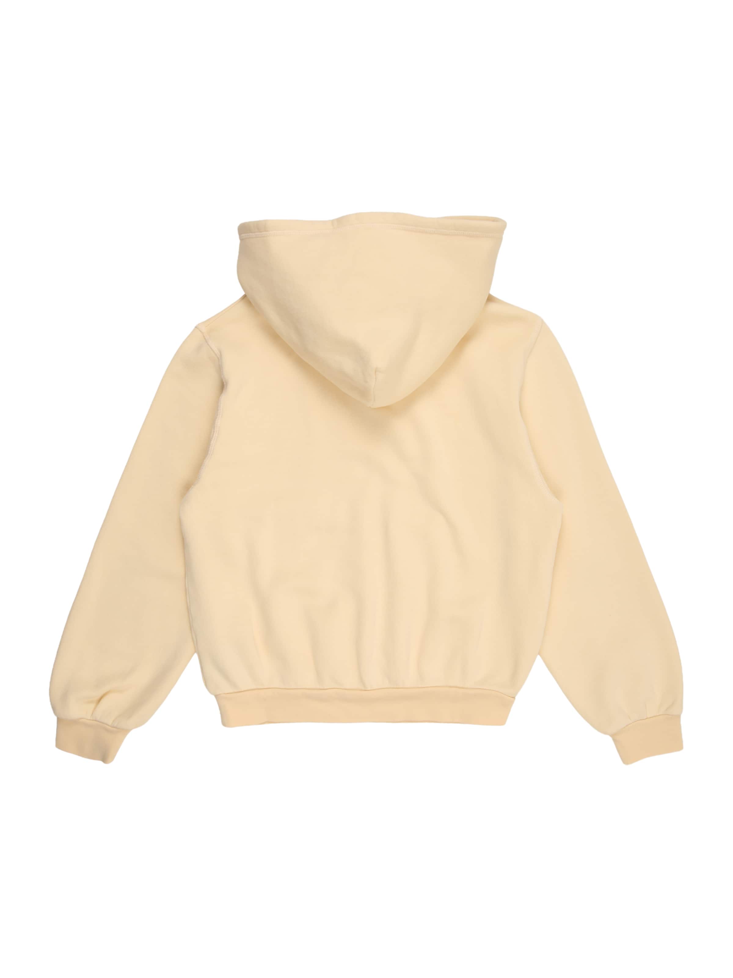 AMERICAN VINTAGE - Sudadera 'IZUBIRD' en beige
