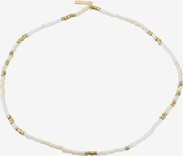 Pilgrim Nilkkakoru 'Alison' värissä kulta: etupuoli