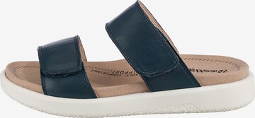 Westland by JOSEF SEIBEL Pantolette 'Albi' in Blau