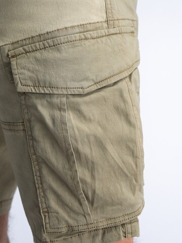 Petrol Industries Regular Cargo Pants in Green