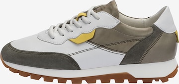 Baskets hautes LLOYD en blanc : devant