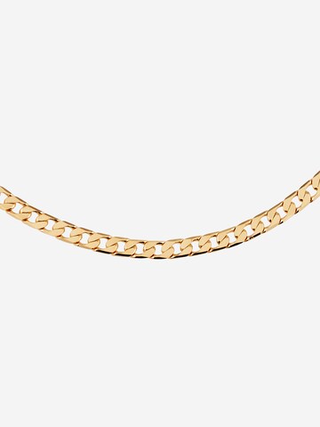 Orelia Necklace in Gold