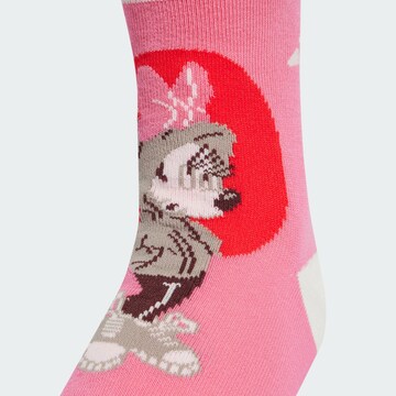 ADIDAS SPORTSWEAR Sokken 'Disney Minnie Mouse' in Roze