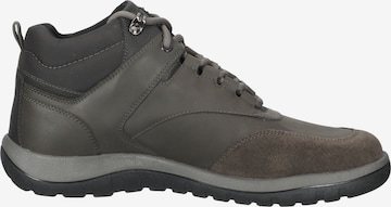 GEOX Sneakers hoog in Bruin