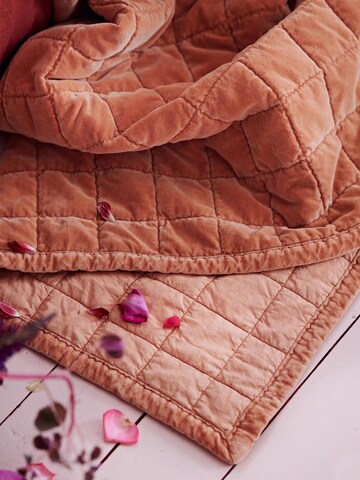 ESSENZA Plaid 'Julia' in Braun