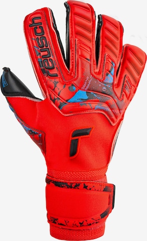 REUSCH Sporthandschoenen 'Attrakt Gold X Evolution Cut' in Rood