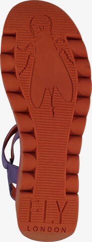 FLY LONDON Sandalen met riem in Lila