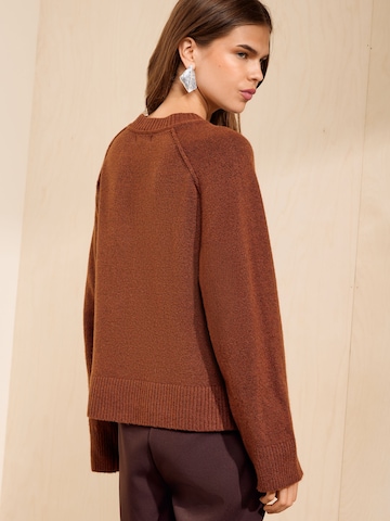 Pull-over Friends Like These en marron
