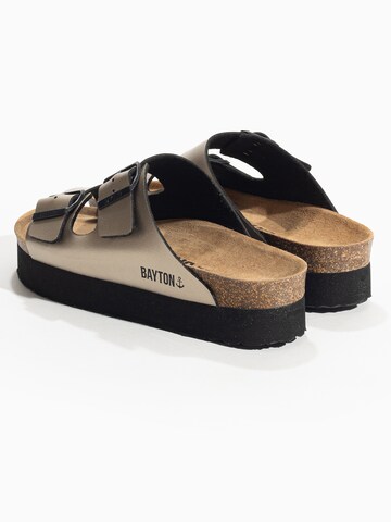 Mule 'Edith' Bayton en or