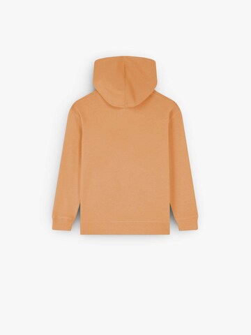 Scalpers Sweatshirt 'Stroke' i orange