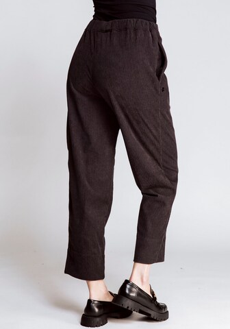 Zhrill Regular Pants in Brown