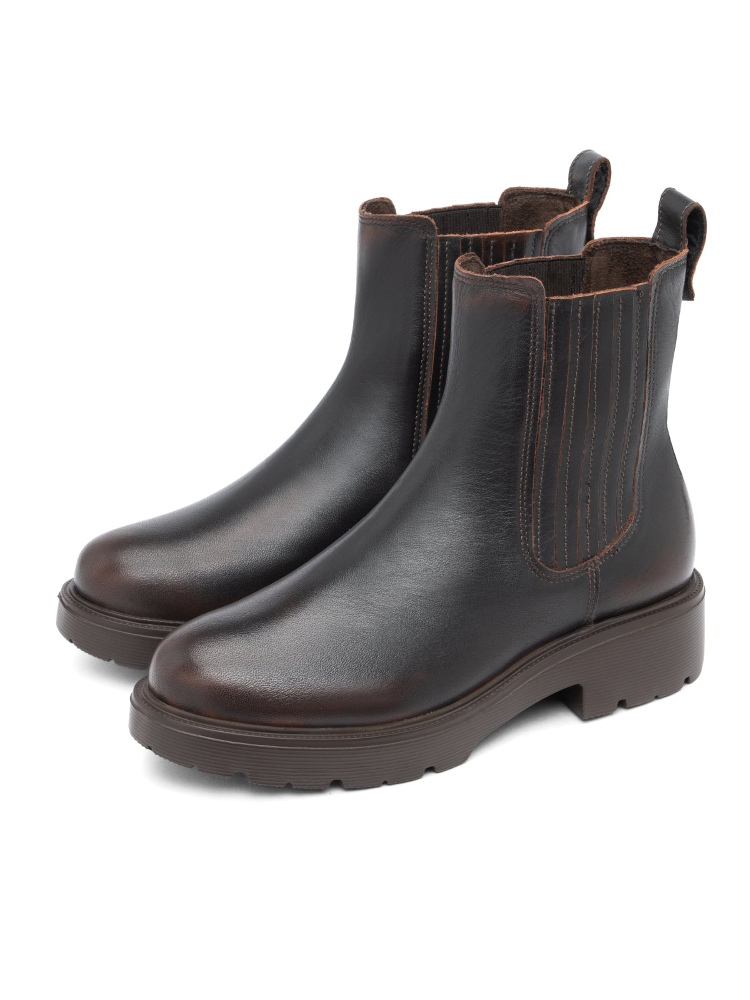 RYŁKO - Botas de tobillo en marrón