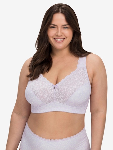 SHEEGO Bra in Purple: front