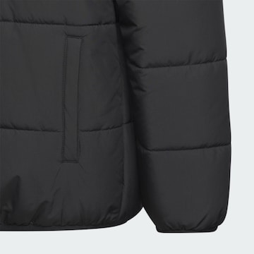 ADIDAS SPORTSWEAR Куртка в спортивном стиле 'Padded' в Черный