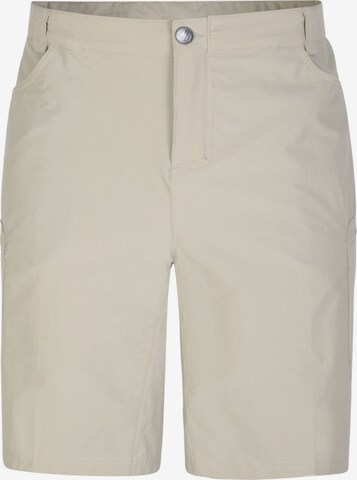 DARE2B Regular Outdoor Pants ' Tuned In II ' in White: front