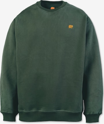 zaļš Trendsplant Sportisks džemperis ' ESSENTIAL ': no priekšpuses