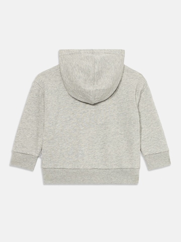 GAP Collegetakki värissä harmaa