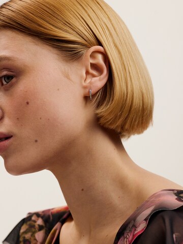 Ted Baker Náušnice – stříbrná: přední strana