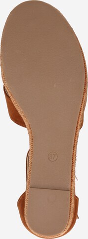 BULLBOXER Sandalen met riem in Bruin