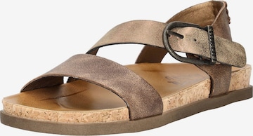 Sandalo con cinturino 'LANCE' di Blowfish Malibu in marrone: frontale