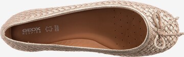 GEOX Ballet Flats 'Palmaria' in Gold