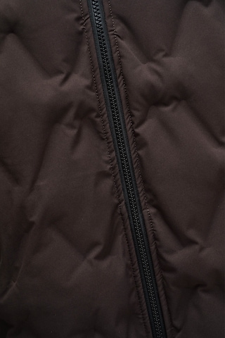 Salsa Jeans Winterjas in Bruin