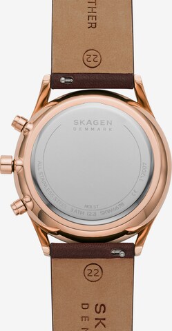 SKAGEN Analog Watch in Brown