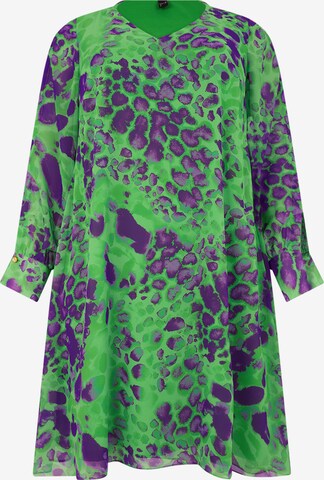 Yoek Dress in Green: front