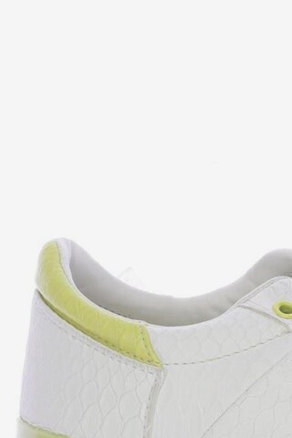 Pepe Jeans Sneakers & Trainers in 37 in White