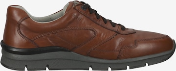 Pius Gabor Sneakers in Brown