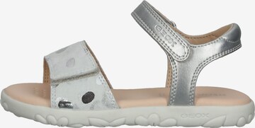 GEOX Sandals in Silver