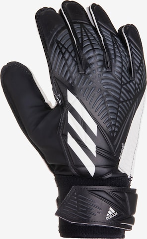 juoda ADIDAS SPORTSWEAR Sportinės pirštinės 'Predator Goalkeeper'