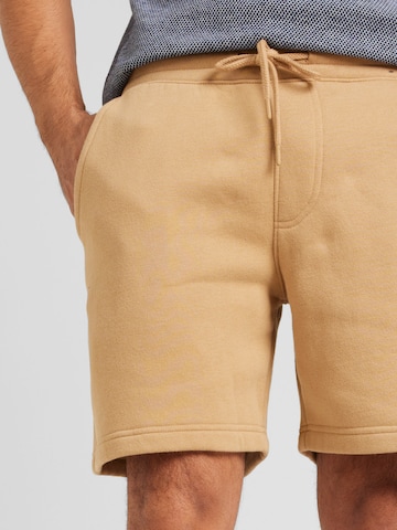 HOLLISTER Regular Pants in Brown