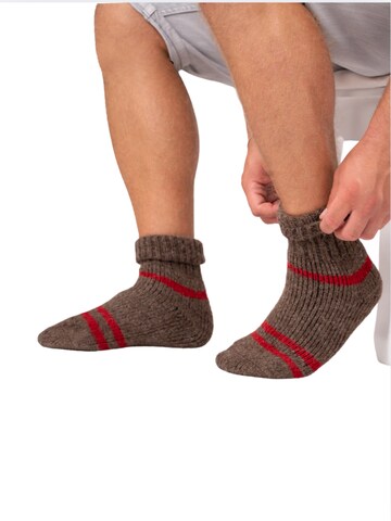 HomeOfSocks Socks 'HOS954' in Brown