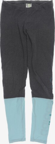 ADIDAS NEO Stoffhose S in Grau: predná strana